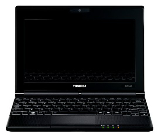 Netbook Toshiba NB200-10P